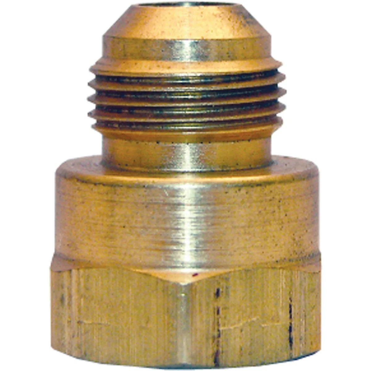 Casual Lasco 15 16 In. M x 3 4 In. FPT Brass Flare Adapter Solid
