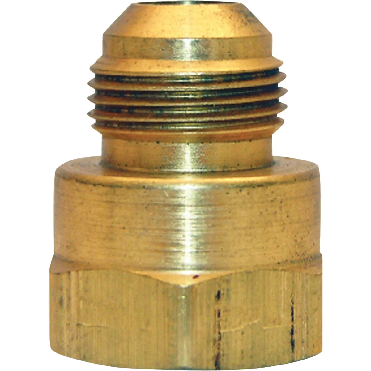 Fine Crafted Lasco 15 16 In. M x 1 2 In. FPT Brass Flare Adapter Durable