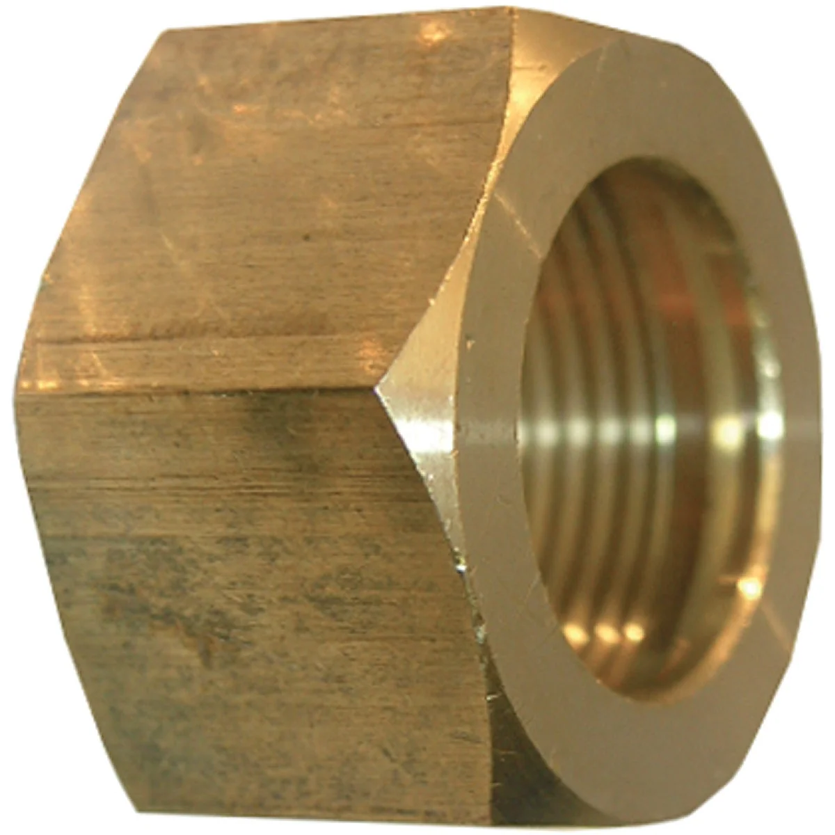 Expertly Made Lasco 3 8 In. Brass Compression Nut 2-Pack Enhanced