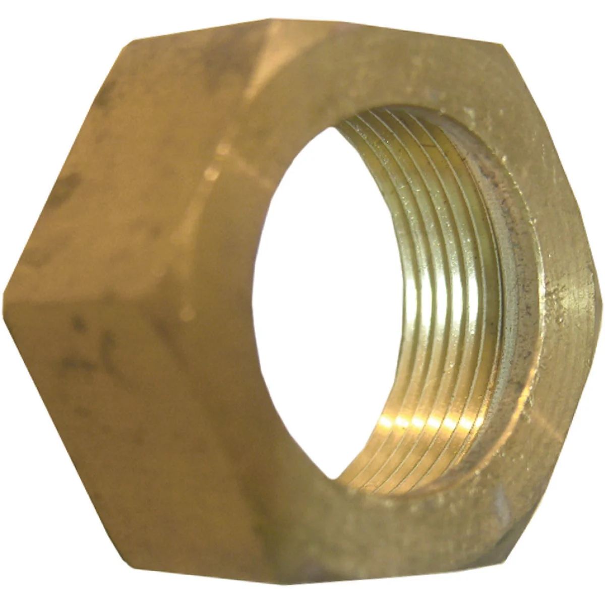 Sophisticated Lasco 1 2 In. Brass Compression Nut 2-Pack Trusted