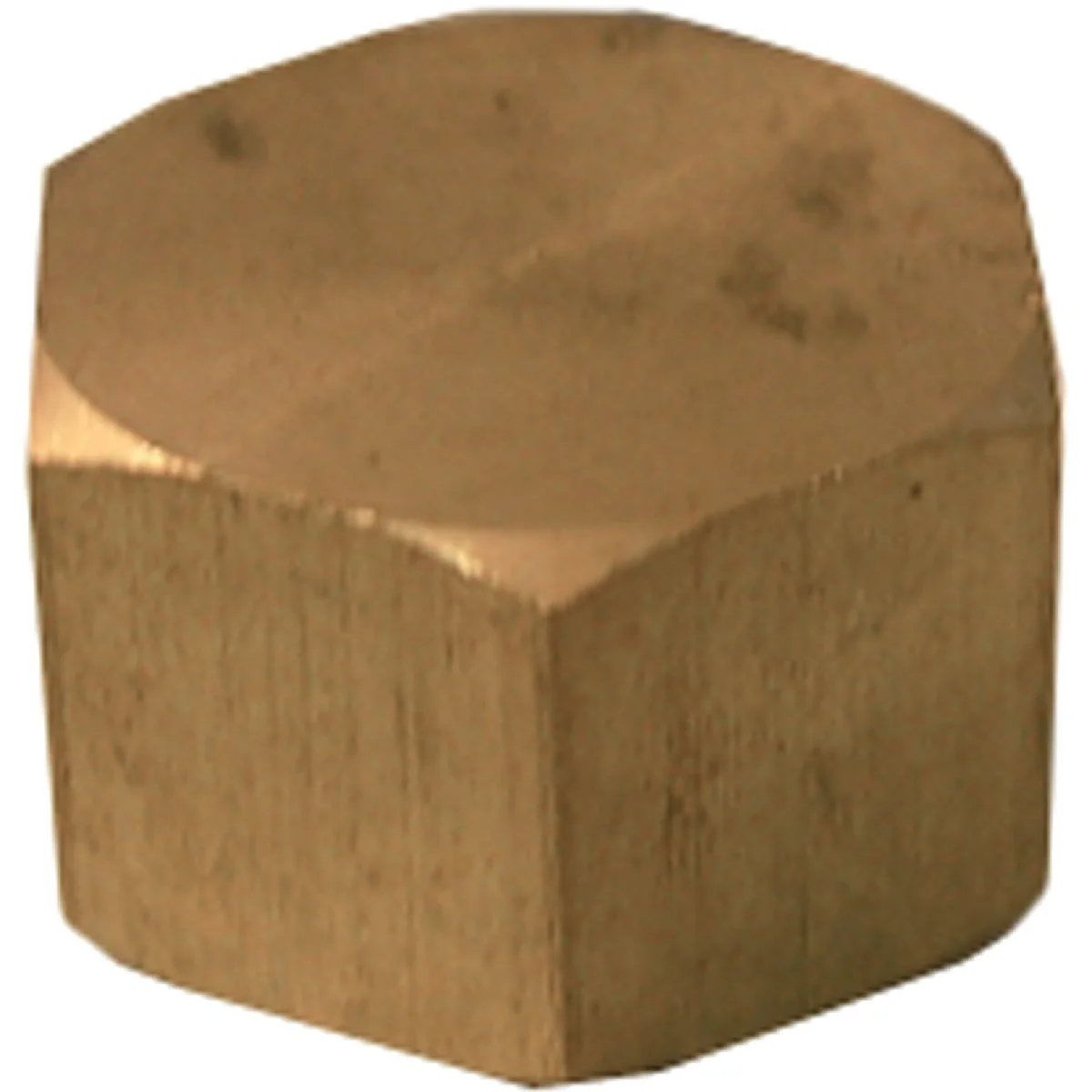 Modern Lasco 1 2 In. Brass Compression Cap Enhanced