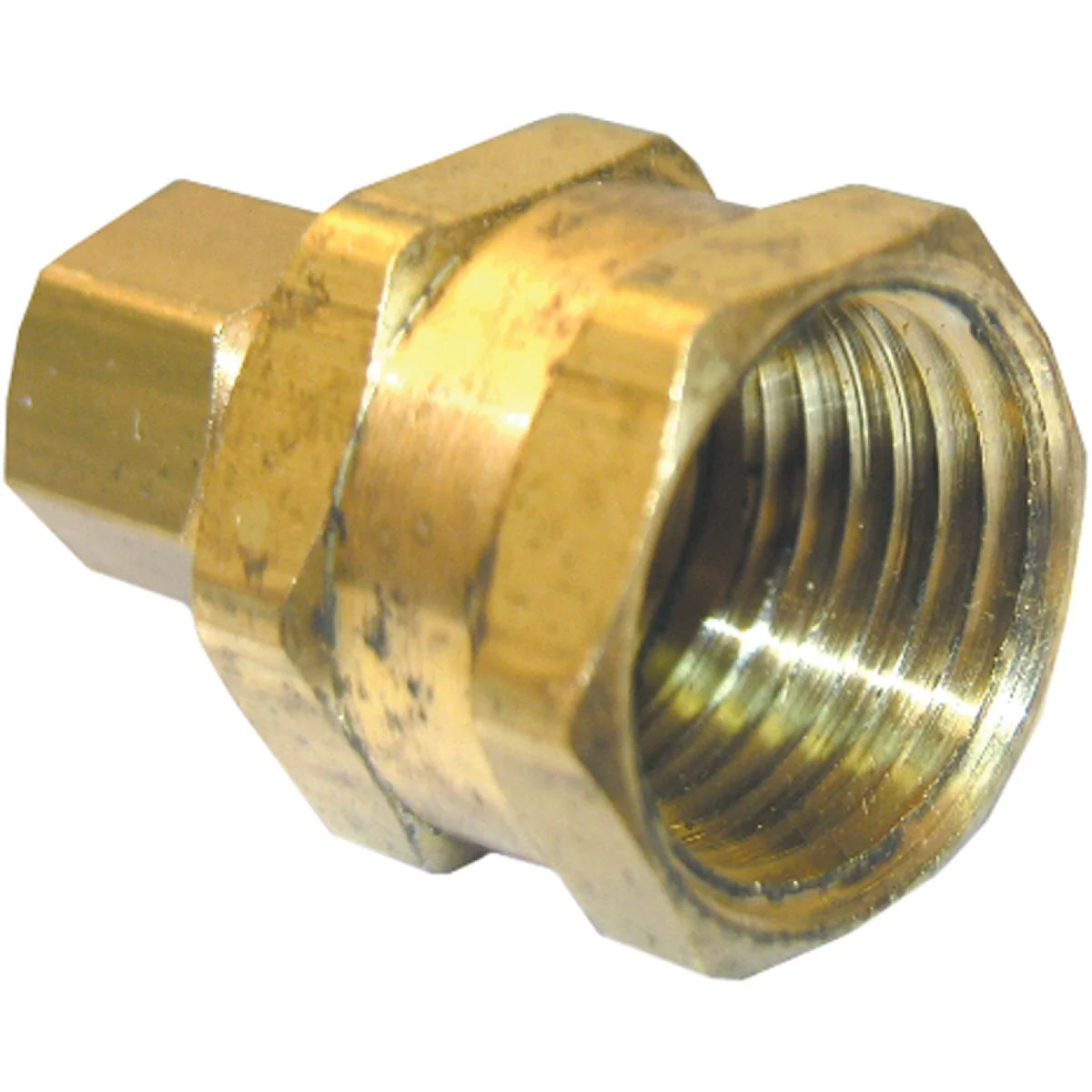 Reusable Lasco 5 16 In. C x 3 8 In. FPT Brass Compression Adapter Healthy