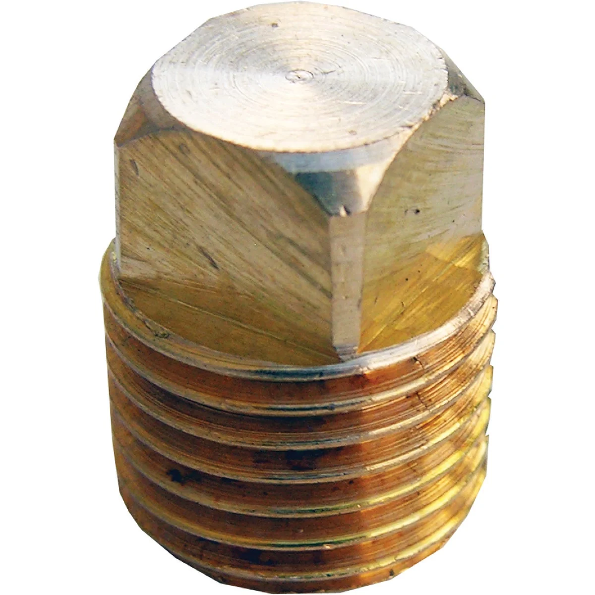 Environmentally Friendly Lasco 1 4 In. MPT Brass Square Head Plug Detailed