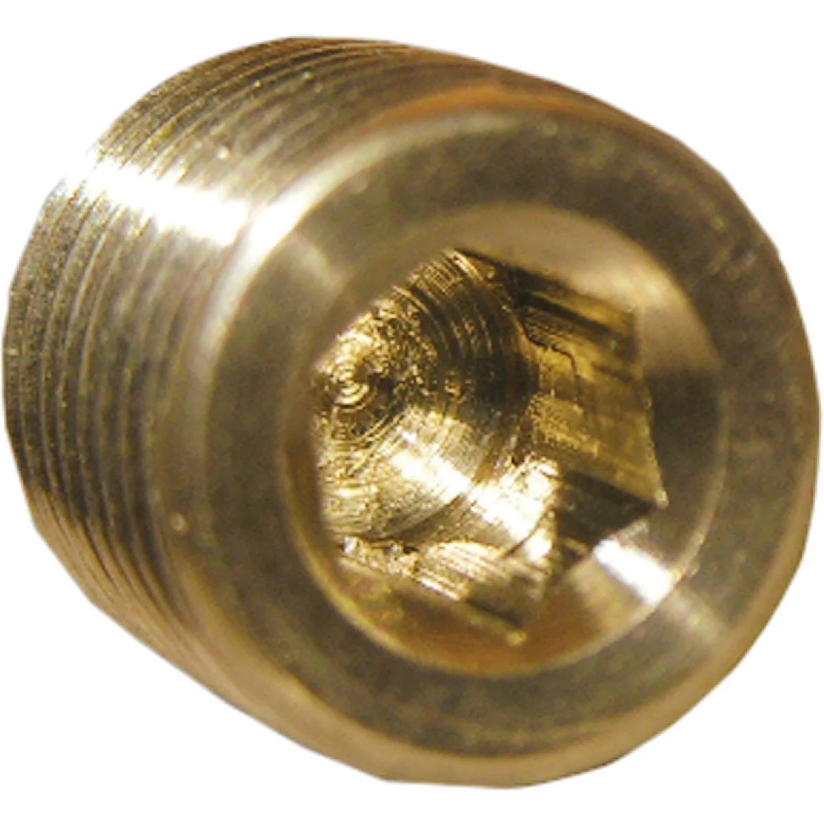 Fine Lasco 1 8 In. MPT Brass Countersunk Plug Sustainable