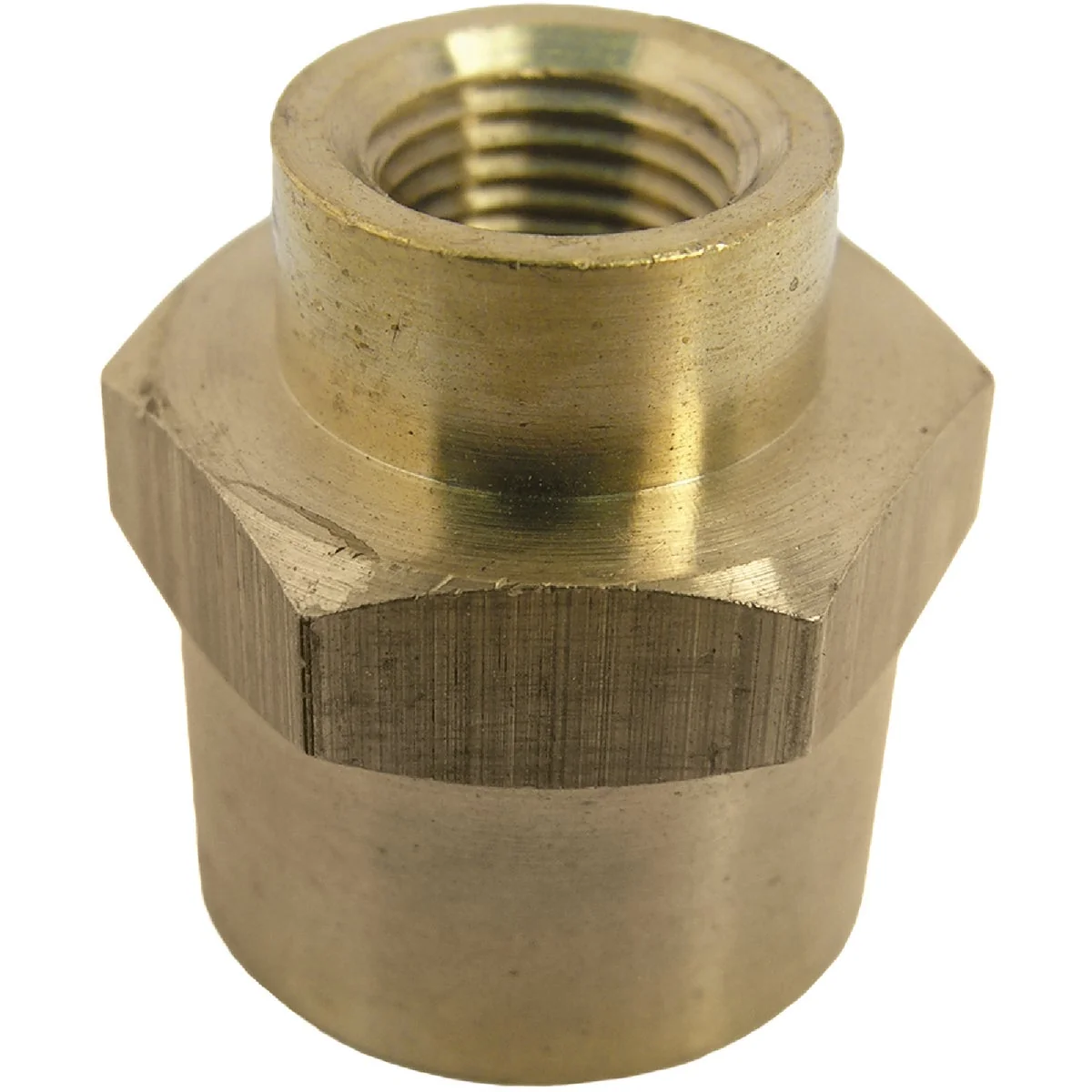 Specialty Lasco 3 8 In. FPT x 1 8 In. FPT Yellow Brass Reducing Coupling Trusted