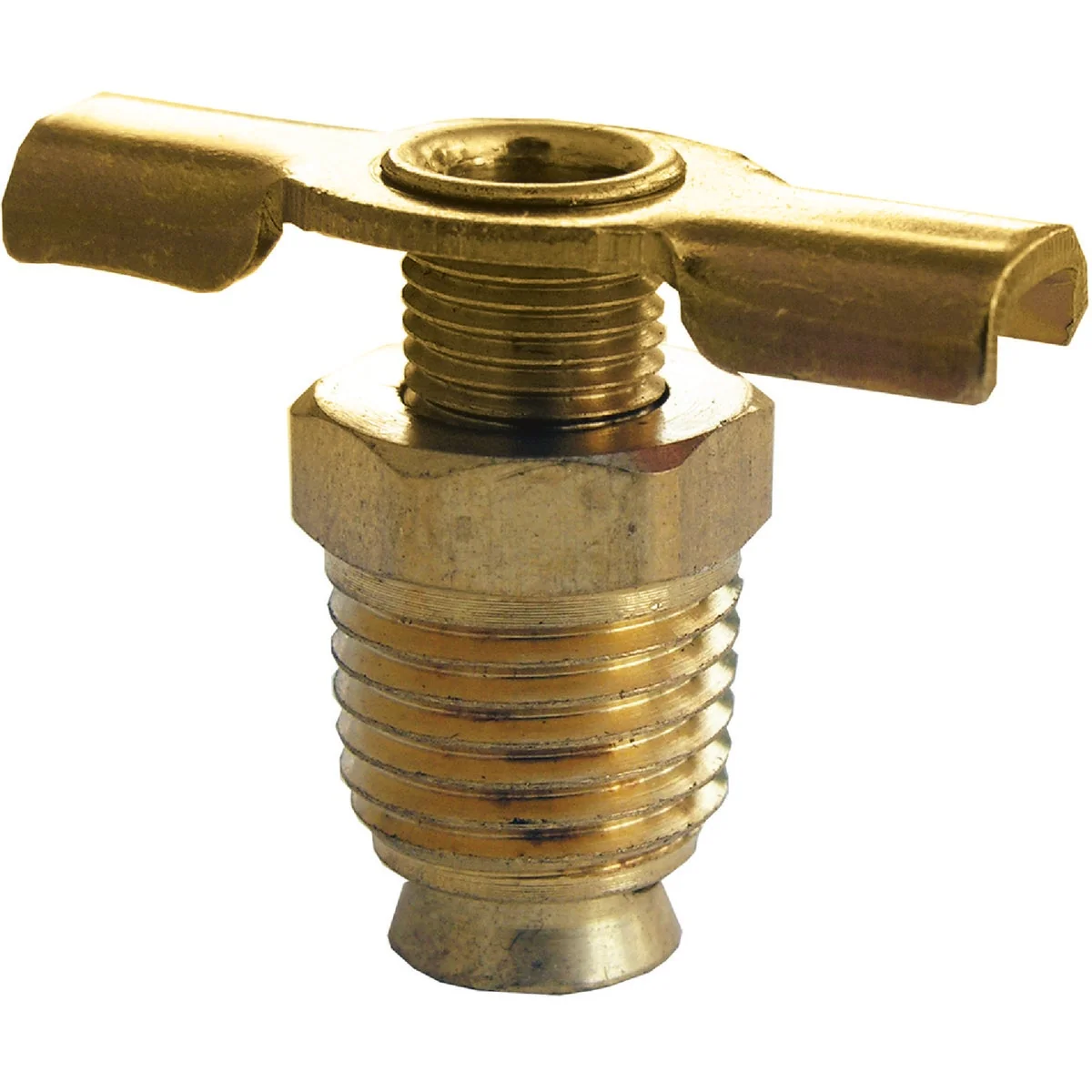 User-Friendly Lasco 1 8 In. MPT Brass 200 psi External Seat Drain Cock Organic