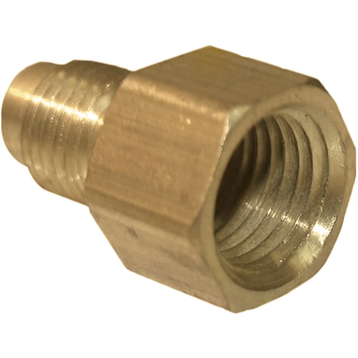 Trendy Lasco 1 4 In. M x 1 4 In. FPT Brass Flare Adapter Efficient