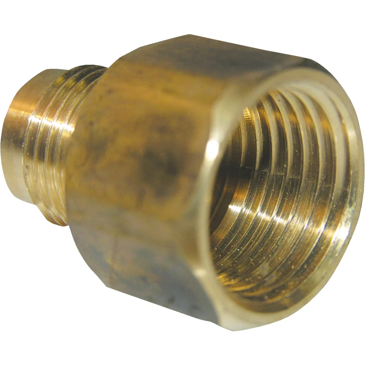 Stylish Lasco 3 8 In. M x 1 2 In. FPT Brass Flare Adapter Convenient