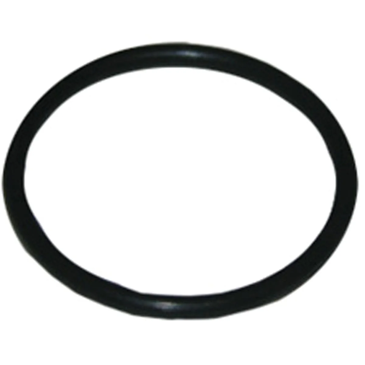Dependable Lasco 46 7 8 In. x 1 In. O-Ring Outstanding