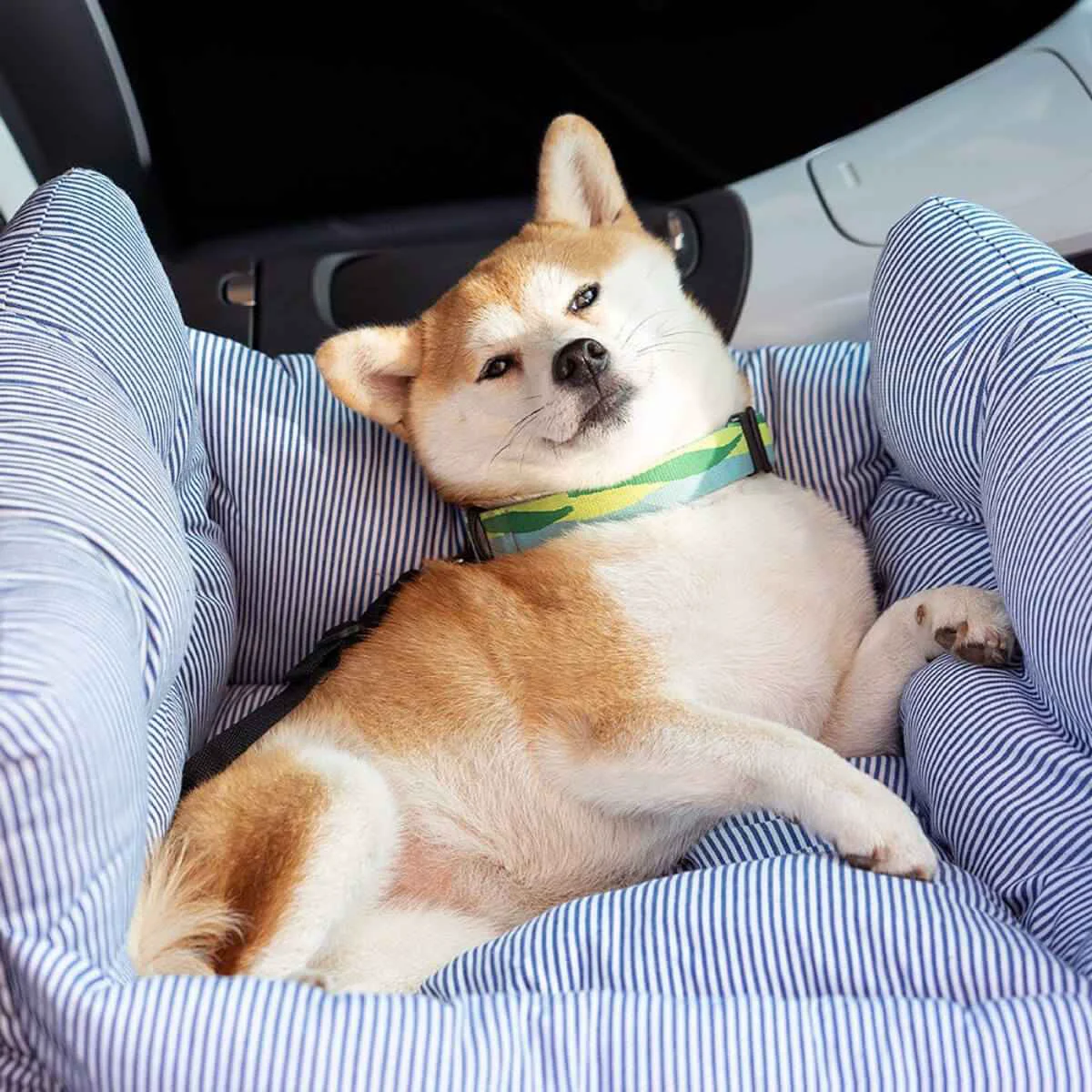Premium Small Dog Car Bed with Safety Leash — Up to 22.5kg Professional