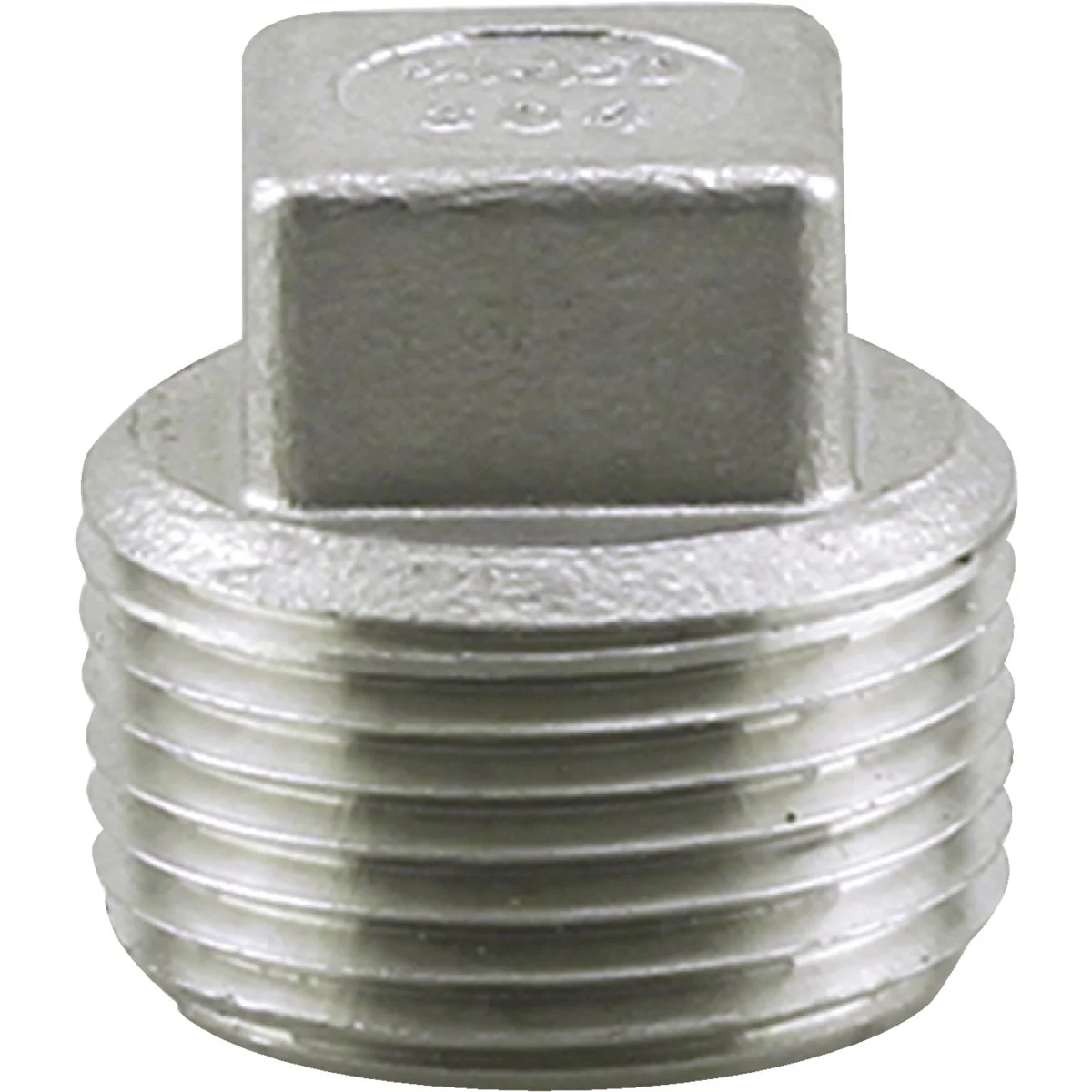 Next-Generation PLUMB-EEZE 1-1 4 In. MIP Square Head Stainless Steel Plug Smooth
