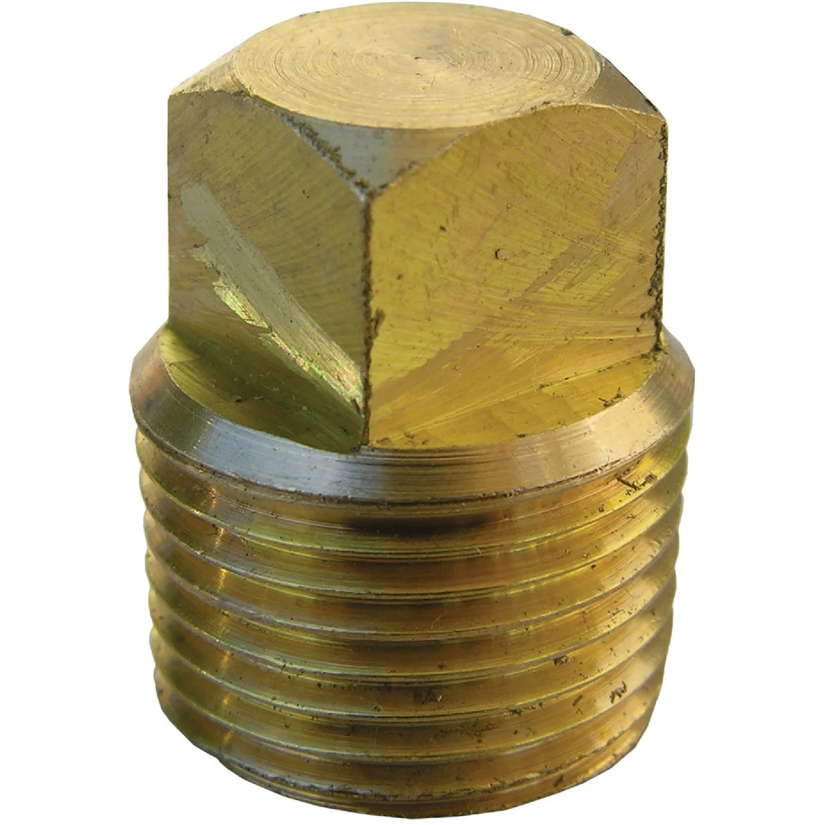 Superior Lasco 3 8 In. MPT Brass Square Head Plug Excellent
