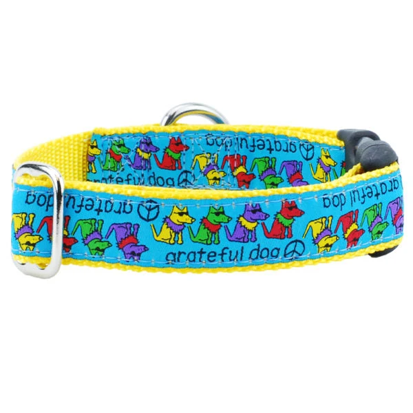 Pure 1″ Grateful Dog Teddy The Dog Essential Buckle Martingale Dog Collar Recyclable