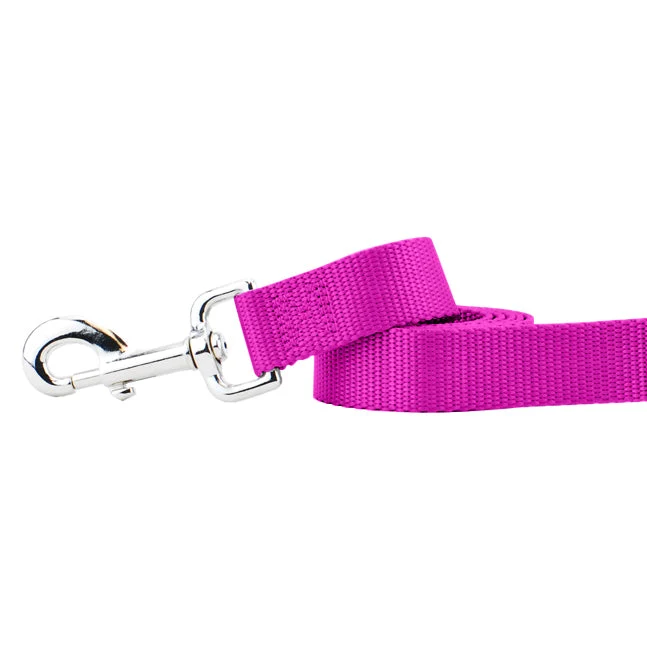 Classic Raspberry Nylon Dog Leash Solid