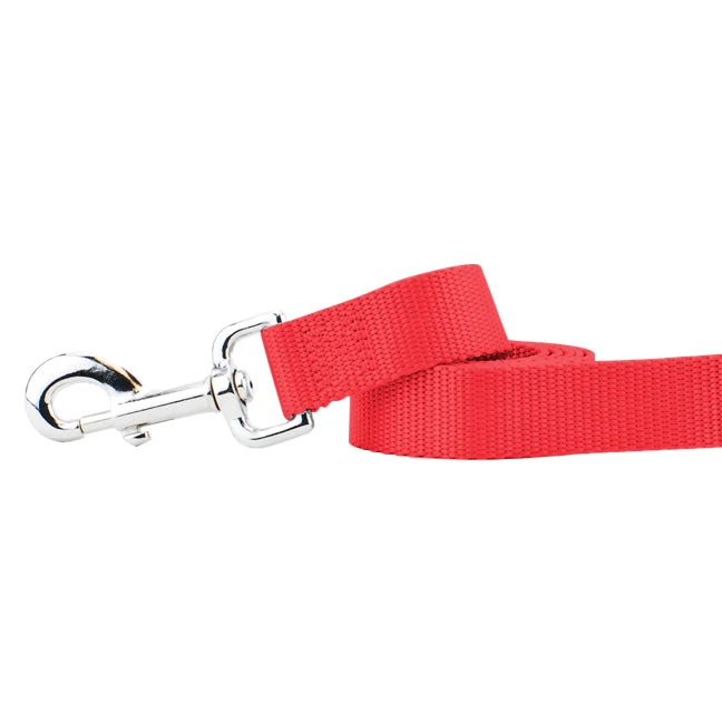 Organic Red Nylon Dog Leash Unique