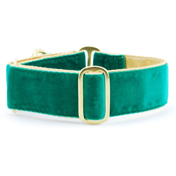 First-Class Holiday Velvet – Green Gold Martingale Dog Collar Professional