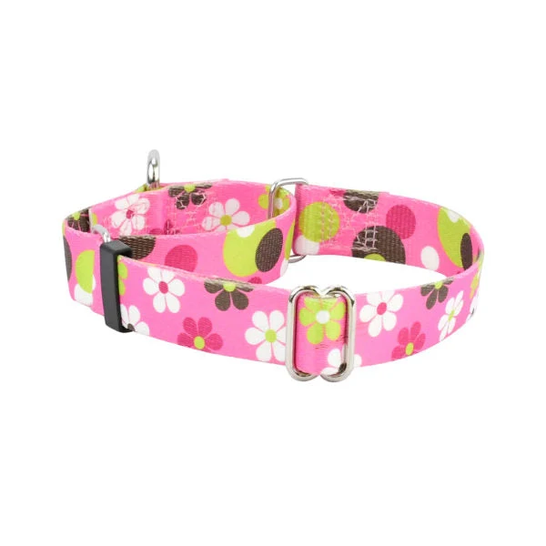 Fine Crafted Daisy Dot Martingale Dog Collar – EarthStyle Original Design