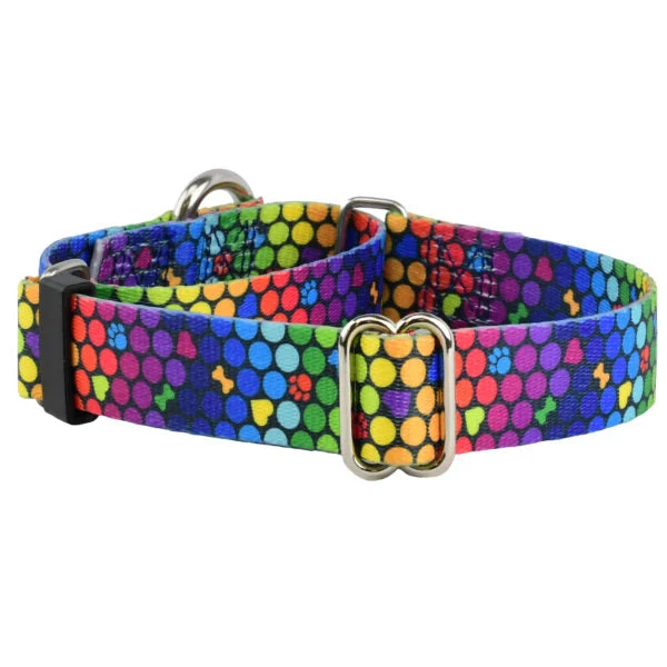 Luxury ROY G BIV Martingale Dog Collar – EarthStyle Solid
