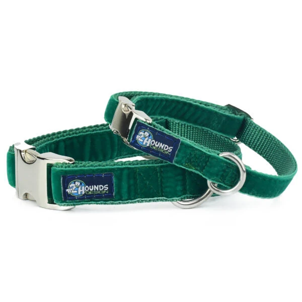 Durable Kelly Green Velvet Essential Buckle Martingale Dog Collar Contemporary