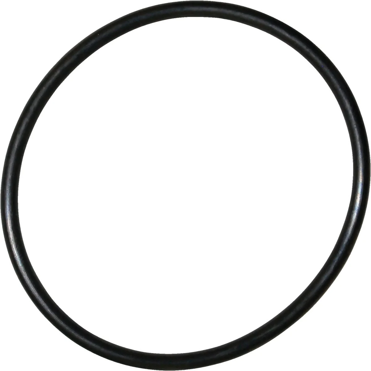 Original Danco 88 1-15 16 In. x 2-1 8 In. Buna-N O-Ring Trendy