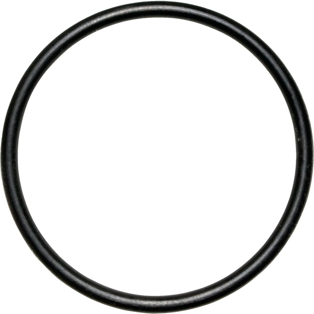 Natural Danco 29 1-1 8 In. x 1-1 4 In. Buna-N O-Ring World-Class