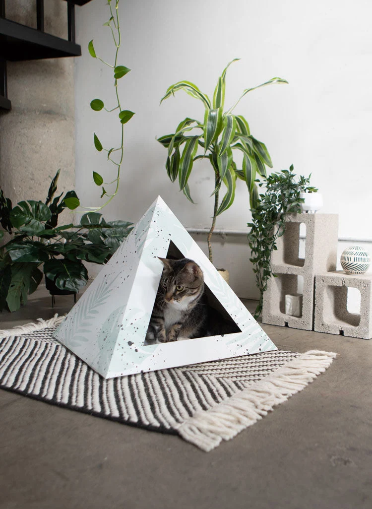 Responsible Oasis Cardboard Cat Pyramid User-Friendly