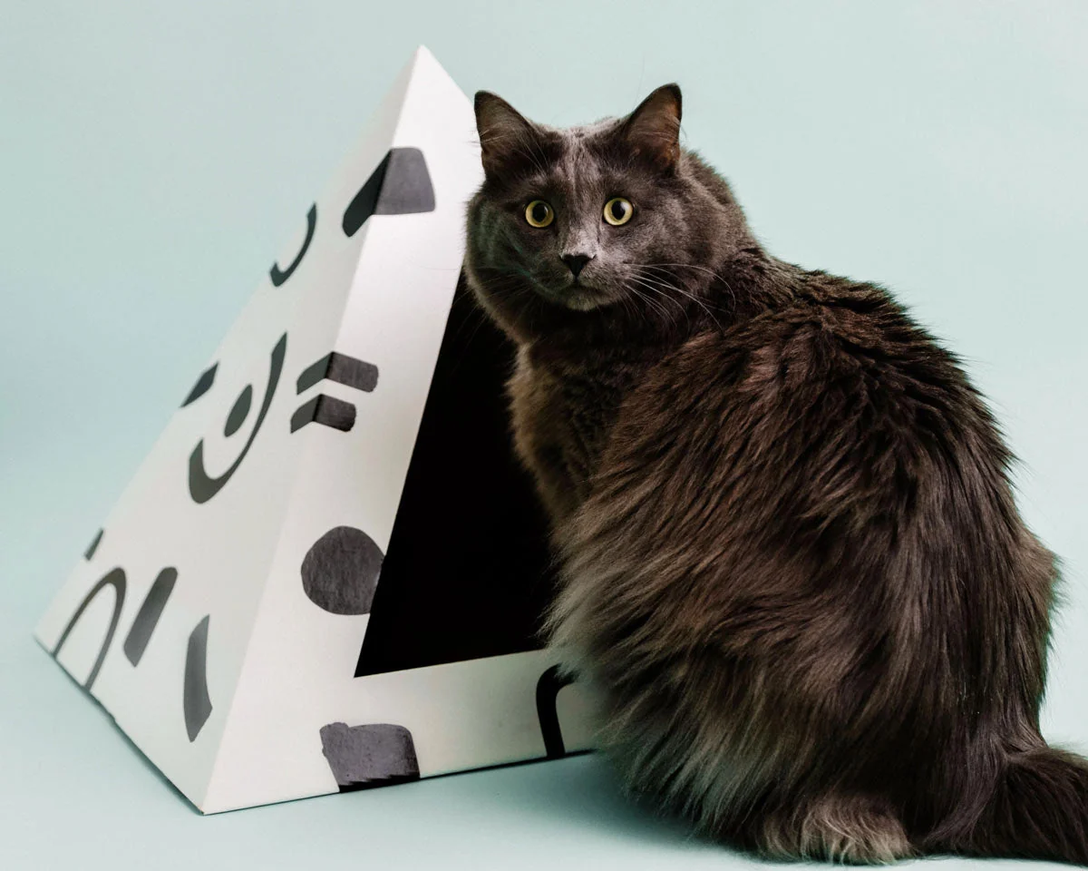 Next-Generation ‘Doodle’ Cardboard Cat Pyramid High-Quality