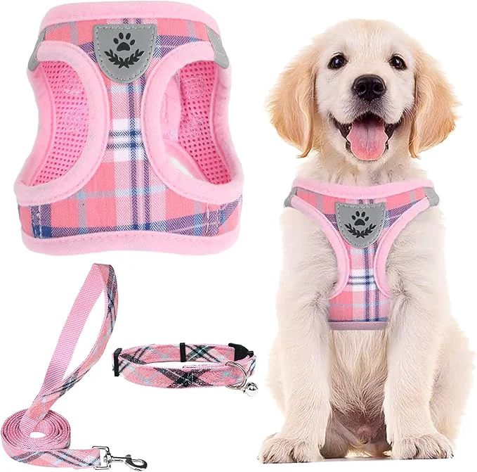 High-Quality PUPTECK Adjustable Dog Harness Collar and Leash Set Step in No Pull Pet Harness Superior