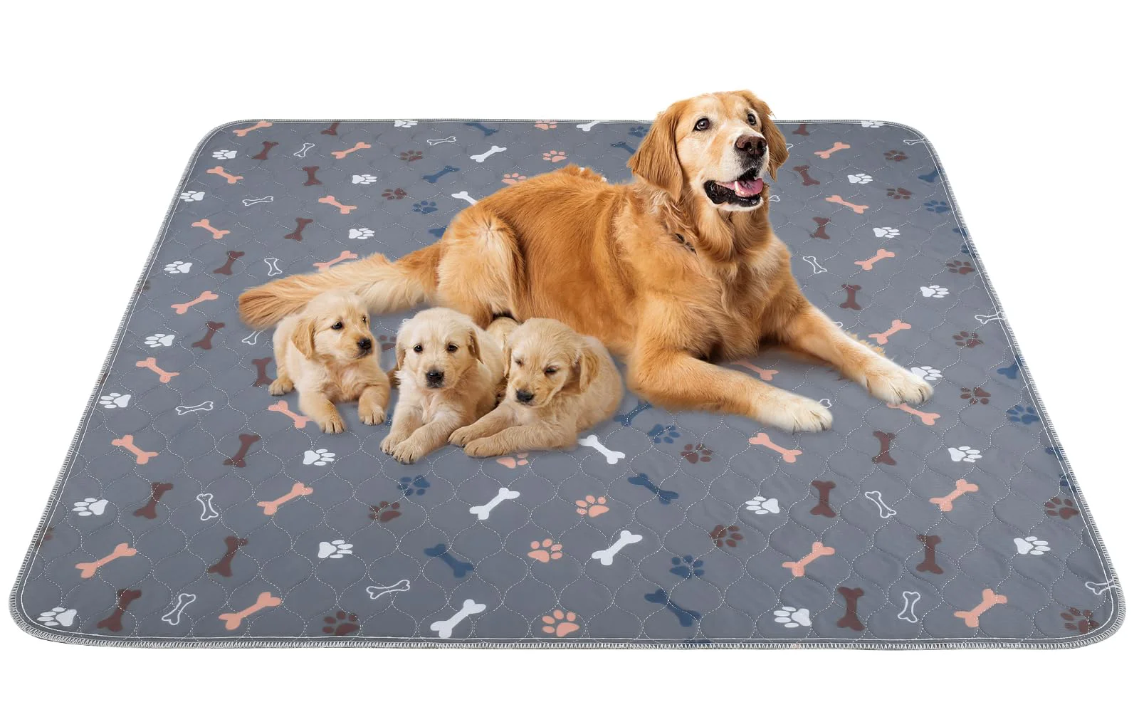 Casual Baodan Washable Dog Pee Pads — 2-Pack Extra-Large 48×60 Ultra-Absorbent Leak-Proof Reusable Training Pads Next-Generation