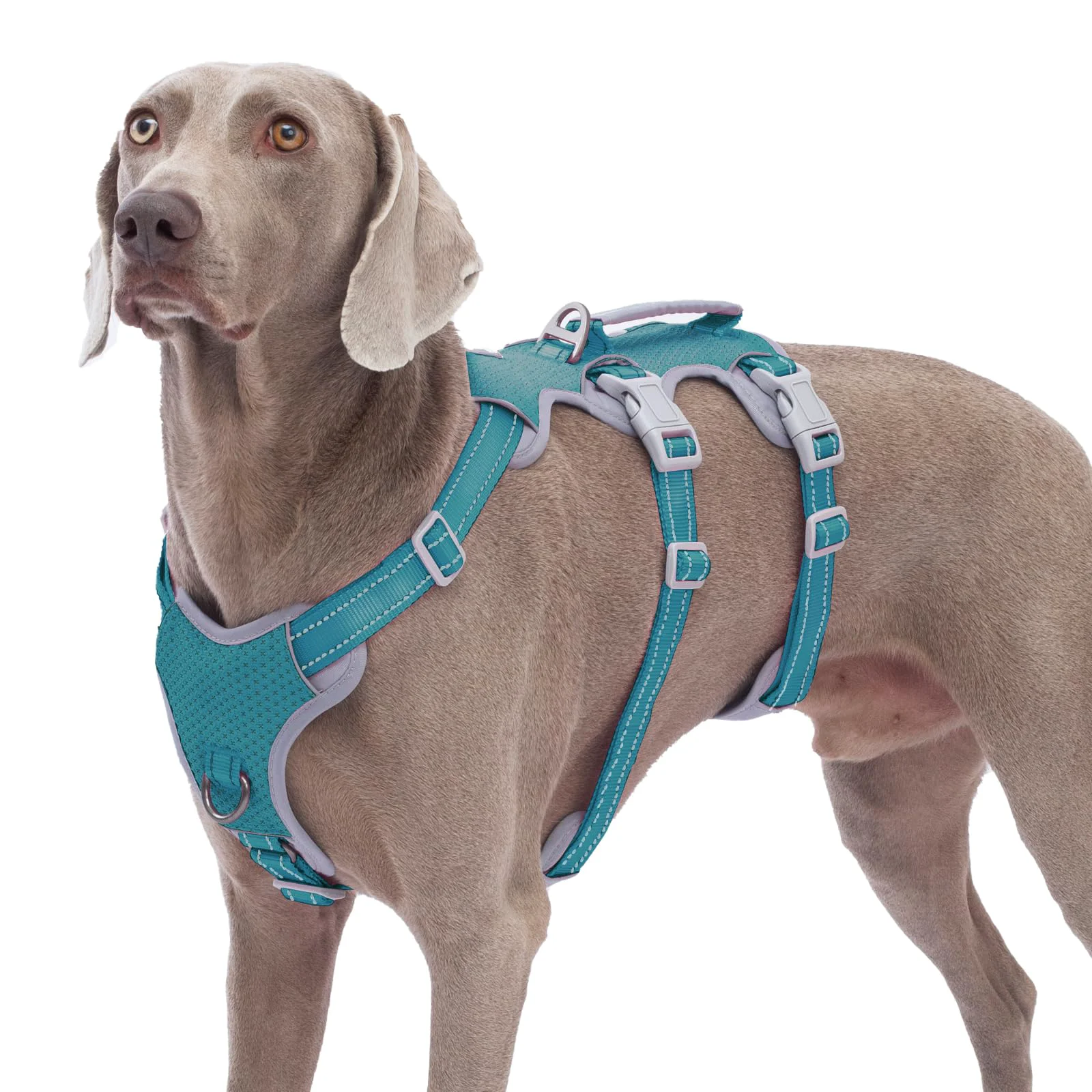 Green Huntboo Escape-Proof Dog Harness Teal – Reflective No-Pull Lift Handle Front Back Clips Sustainable