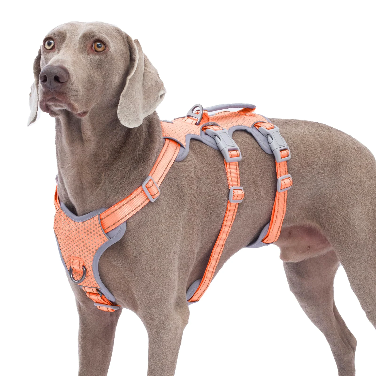 Selected Huntboo Escape-Proof Dog Harness – No-Pull Reflective Lift-Handle Vest Orange L Authentic