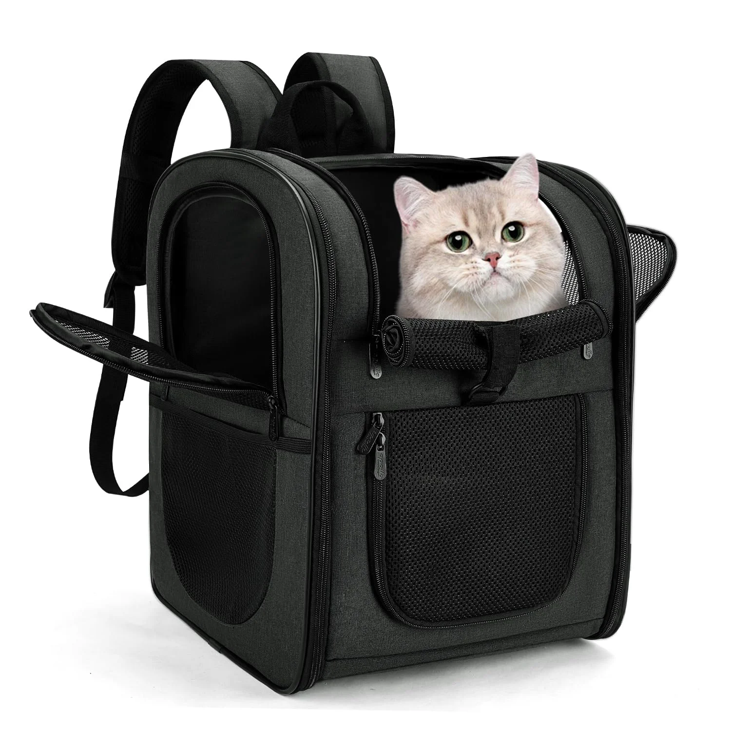 First-Class Apollo Walker Dog Cat Carrier Backpack 4-18 lb – Ventilated Secure Comfortable for Hiking Travel Official