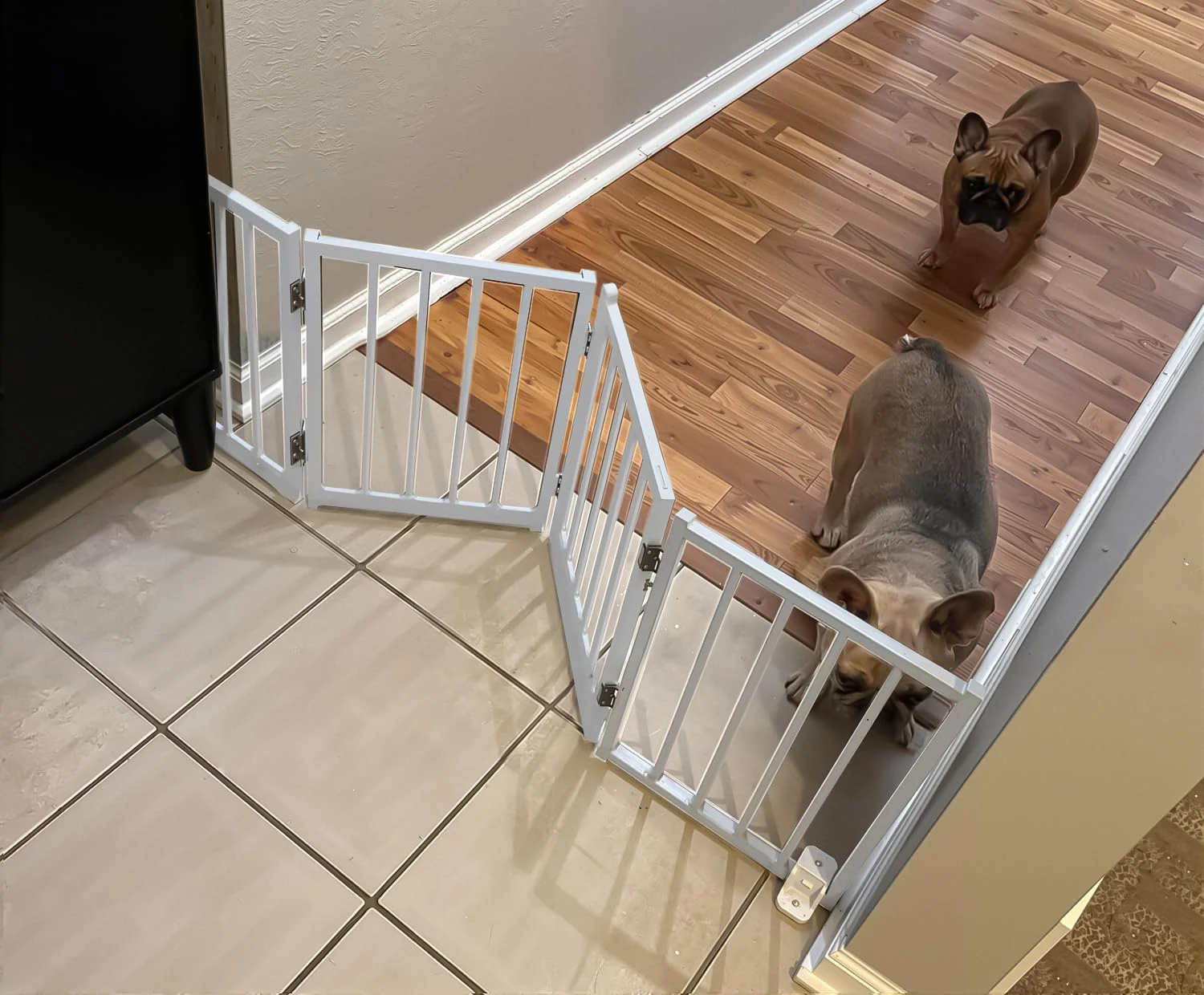 Crafted BFNN Standing Foldable Dog Gate – 16.5-Inch High 48-Inch Wide No-Drill Indoor Outdoor Artisan