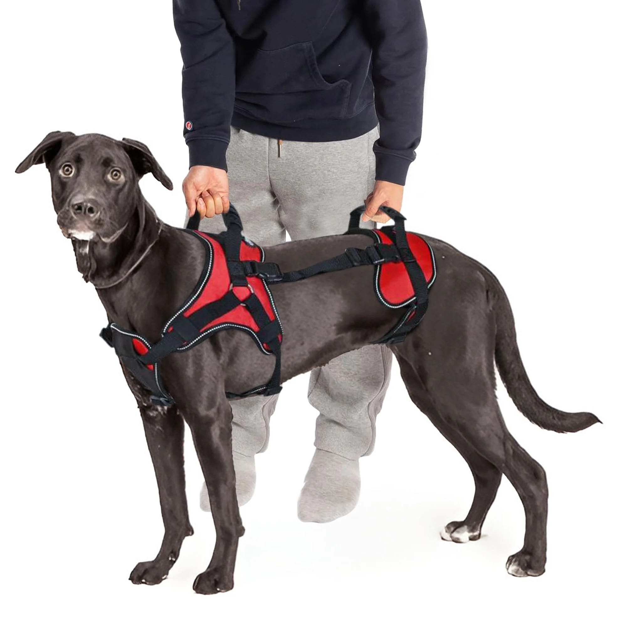 Sophisticated Doggie Stylz Multi-Functional Full-Body Lifting Dog Harness Vest – Front Rear or Full-Body Verified