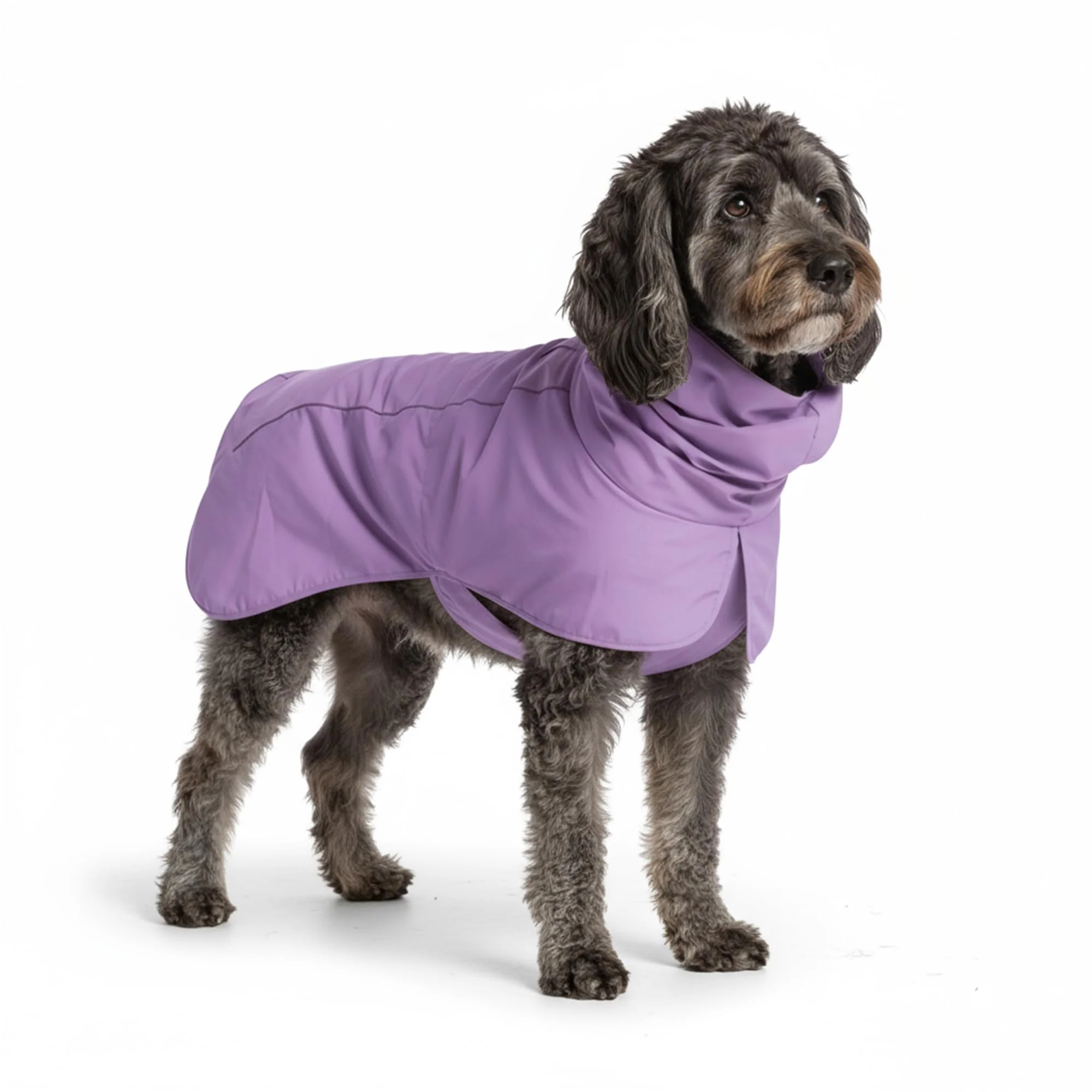 Dependable Spark Paws Dog Raincoat 2XL – Waterproof Windproof Full-Body Coverage Purple Smooth