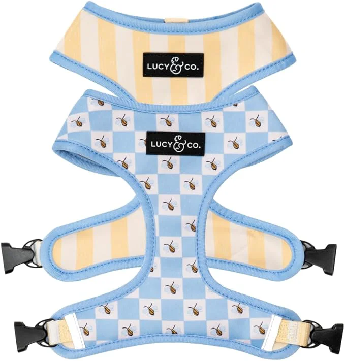 Genuine Lucy Co. Bumbling Around Reversible Dog Harness Adjustable Comfort Fit Smooth