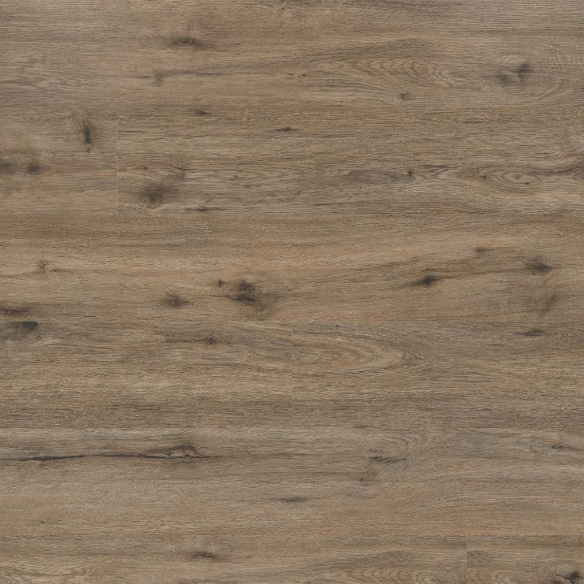 Prestigious MSI EverLife Cyrus 2.0 Fauna 7 In. x 48 In. Rigid Core Luxury Vinyl Plank 23.77 Sq. Ft. Case Sophisticated