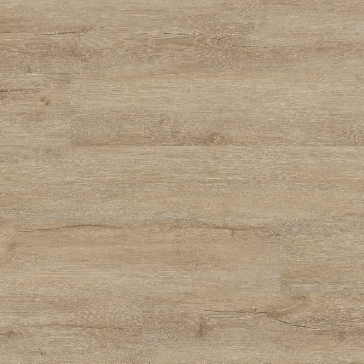 High-Grade MSI EverLife Cyrus 2.0 Sandino 7 In. x 48 In. Rigid Core Luxury Vinyl Plank 23.77 Sq. Ft. Case Certified