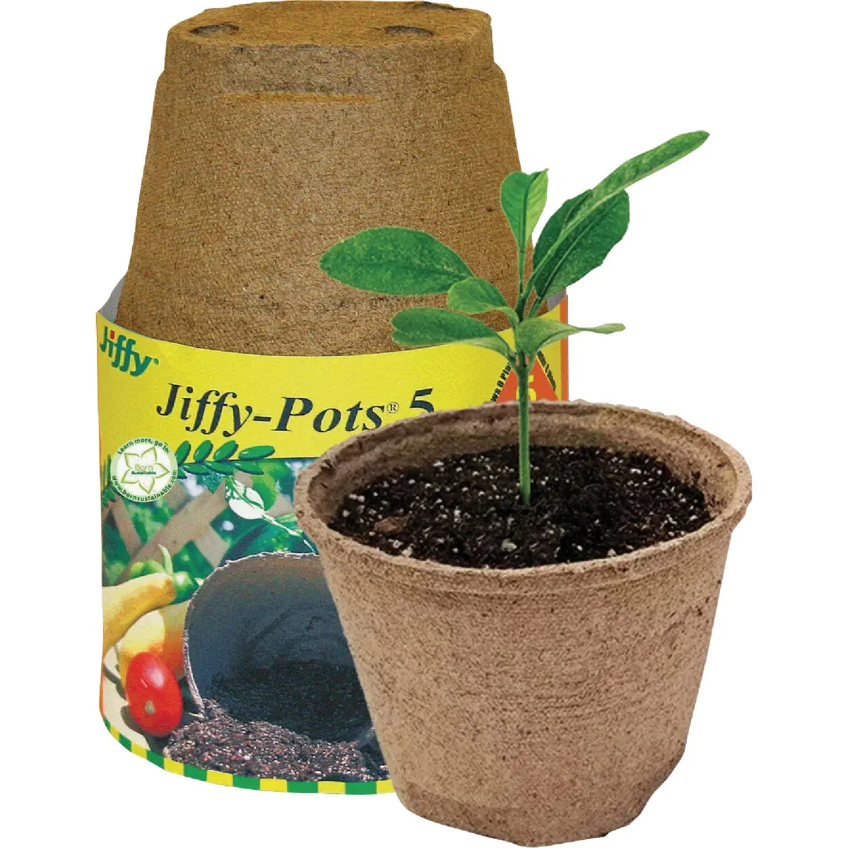 Quality Jiffy 5 In. W. Round Peat Pot 6-Pack Reliable