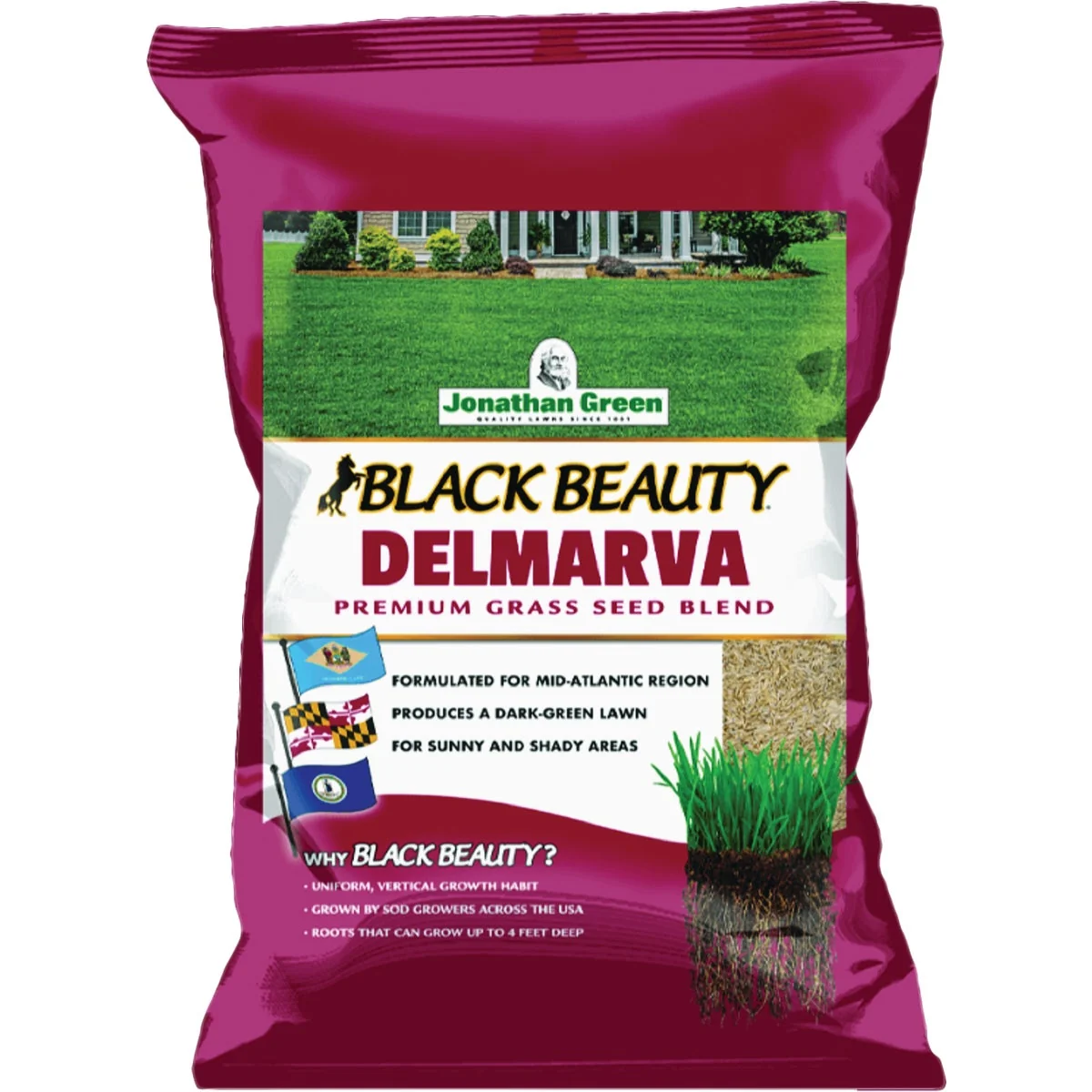 Top-Quality Jonathan Green Black Beauty Delmarva 3 Lb. 1500 Sq. Ft. Coverage Tall Fescue Grass Seed Proven