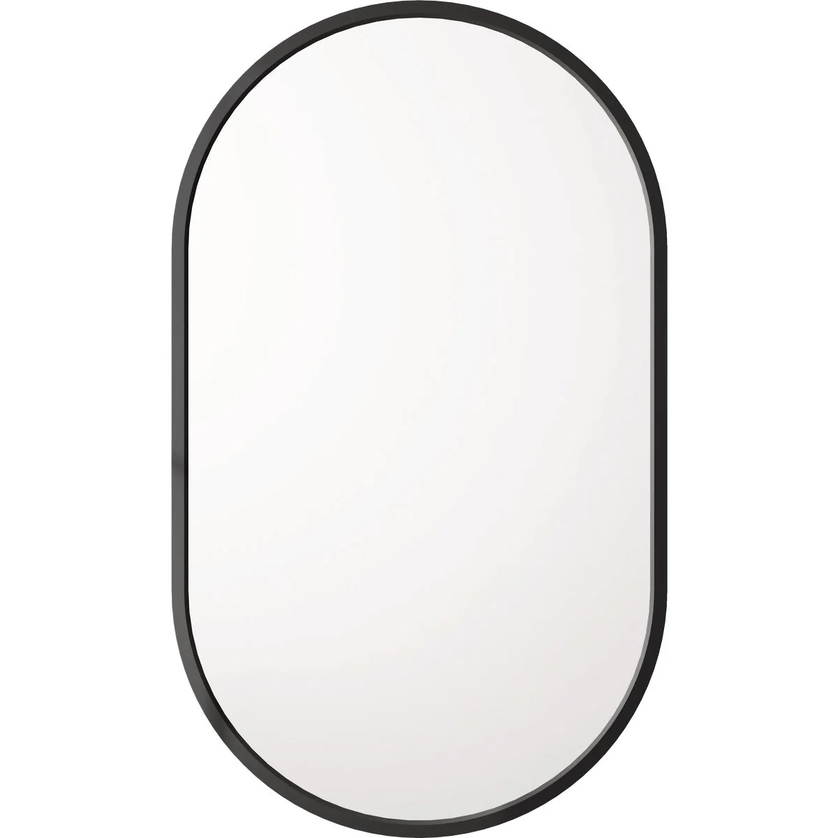 World-Class Zenna Home Designer Series Black 16 In. W x 27 In. H x 5 In. D Single Mirror Surface Mount Pill Framed Medicine Cabinet Original Design