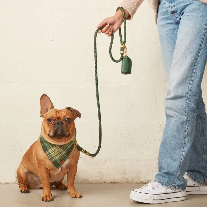Outstanding Evergreen Waxed Canvas Dog Poop Bag Dispenser Sustainable