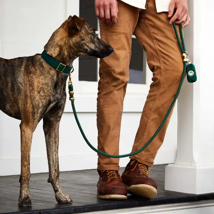 Smooth Evergreen Marine Rope Dog Leash 5 Foot Next-Generation