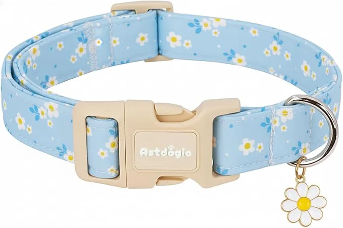 Fine Crafted Dog Collar for Small Medium Large Dogs Spring Blue Dog Collars Functional