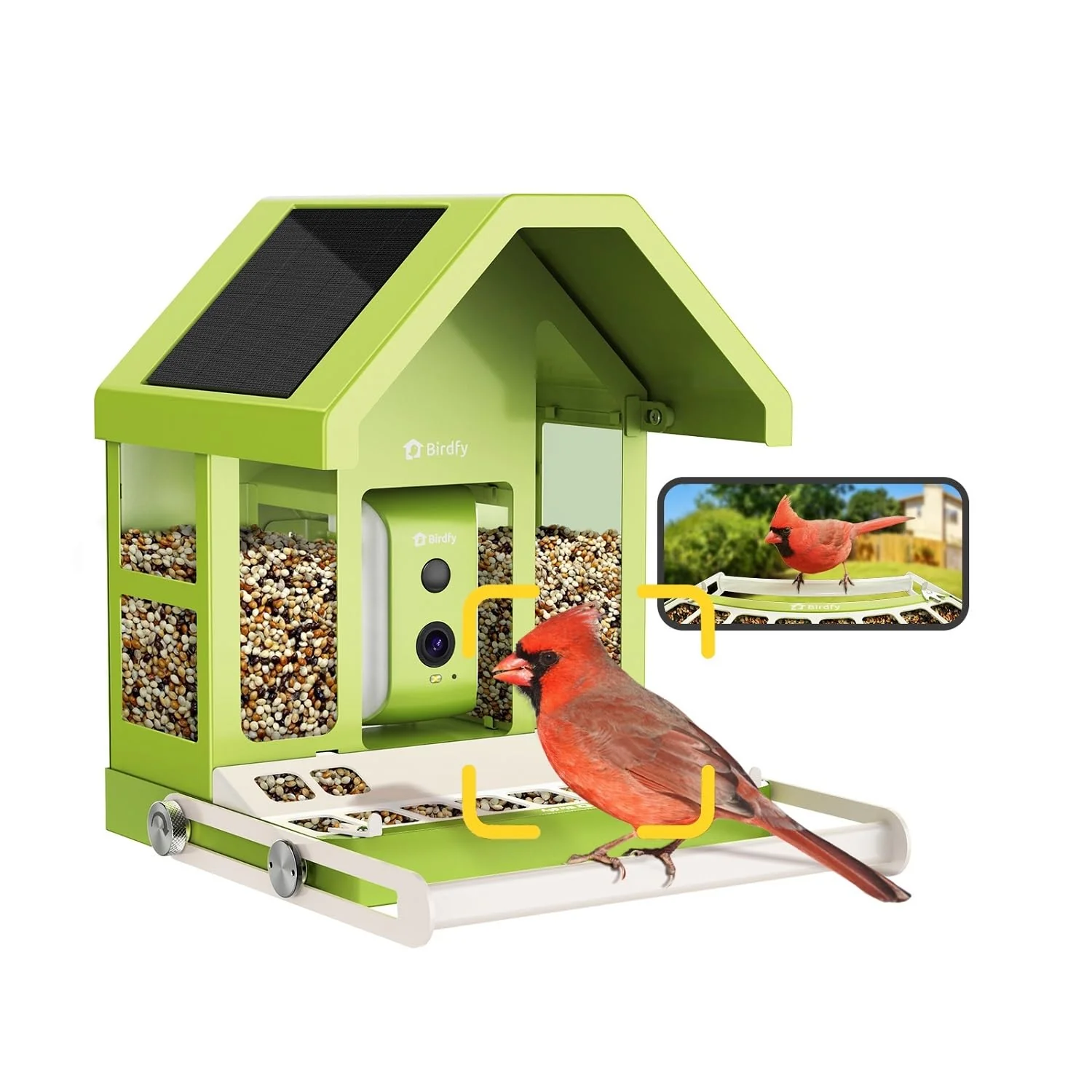 Safe Birdfy Smart Bird Feeder with Camera – All-Metal Solar-Powered AI Bird Identification Sustainable