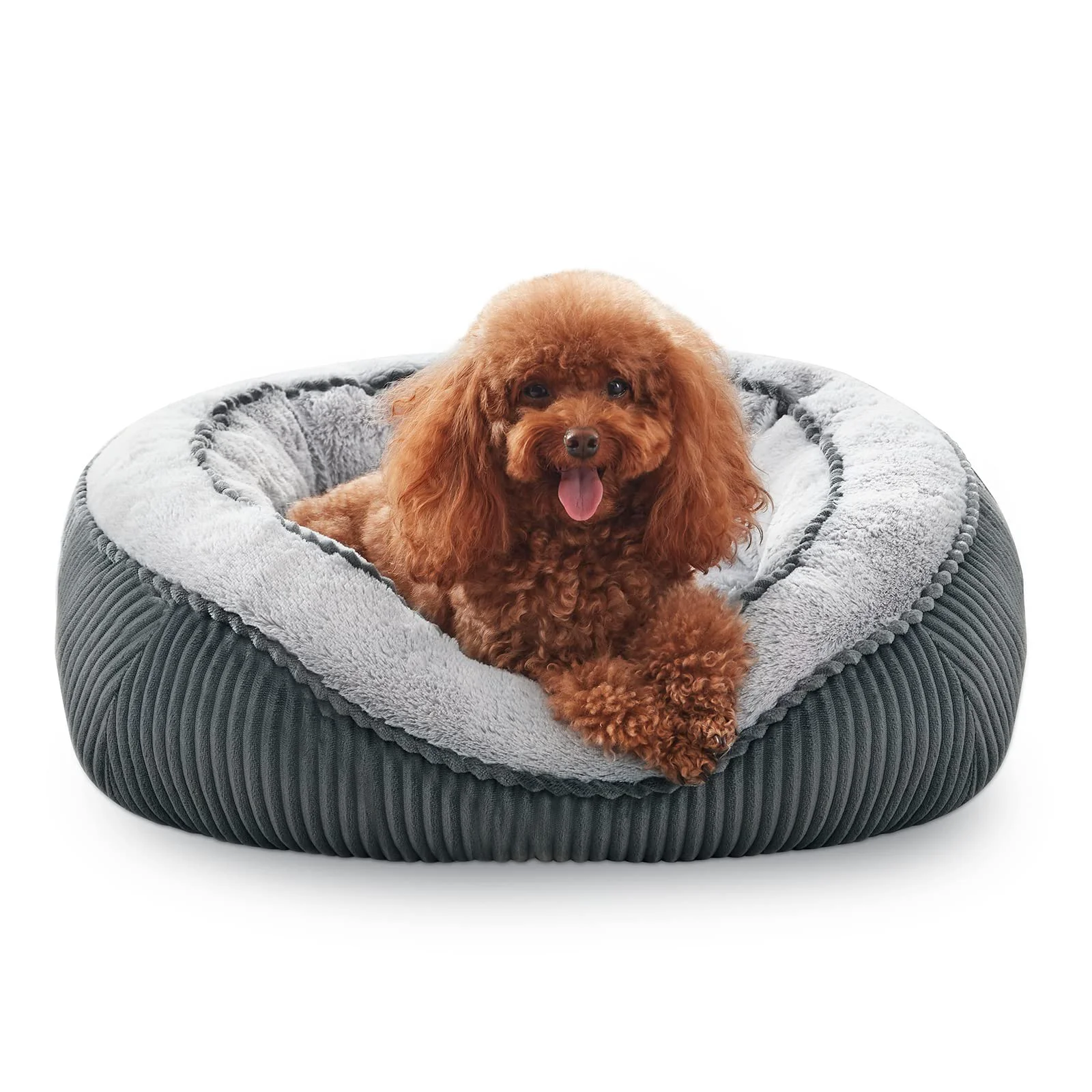 Top-Quality SIWA MARY Dog Beds for All Sizes Washable Non-Slip Orthopedic-Style Comfort Trendy