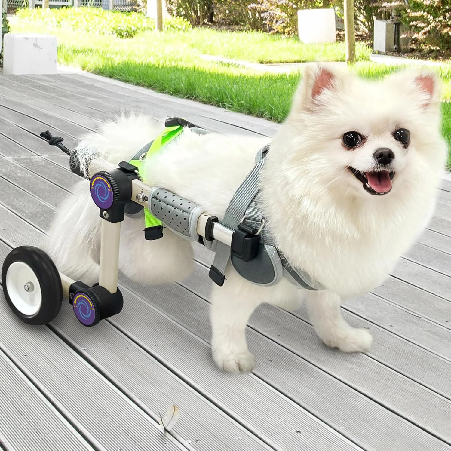 Premium LetPetRun Adjustable Dog Wheelchair – Extra Small White for Hind-Leg Mobility Minimalist