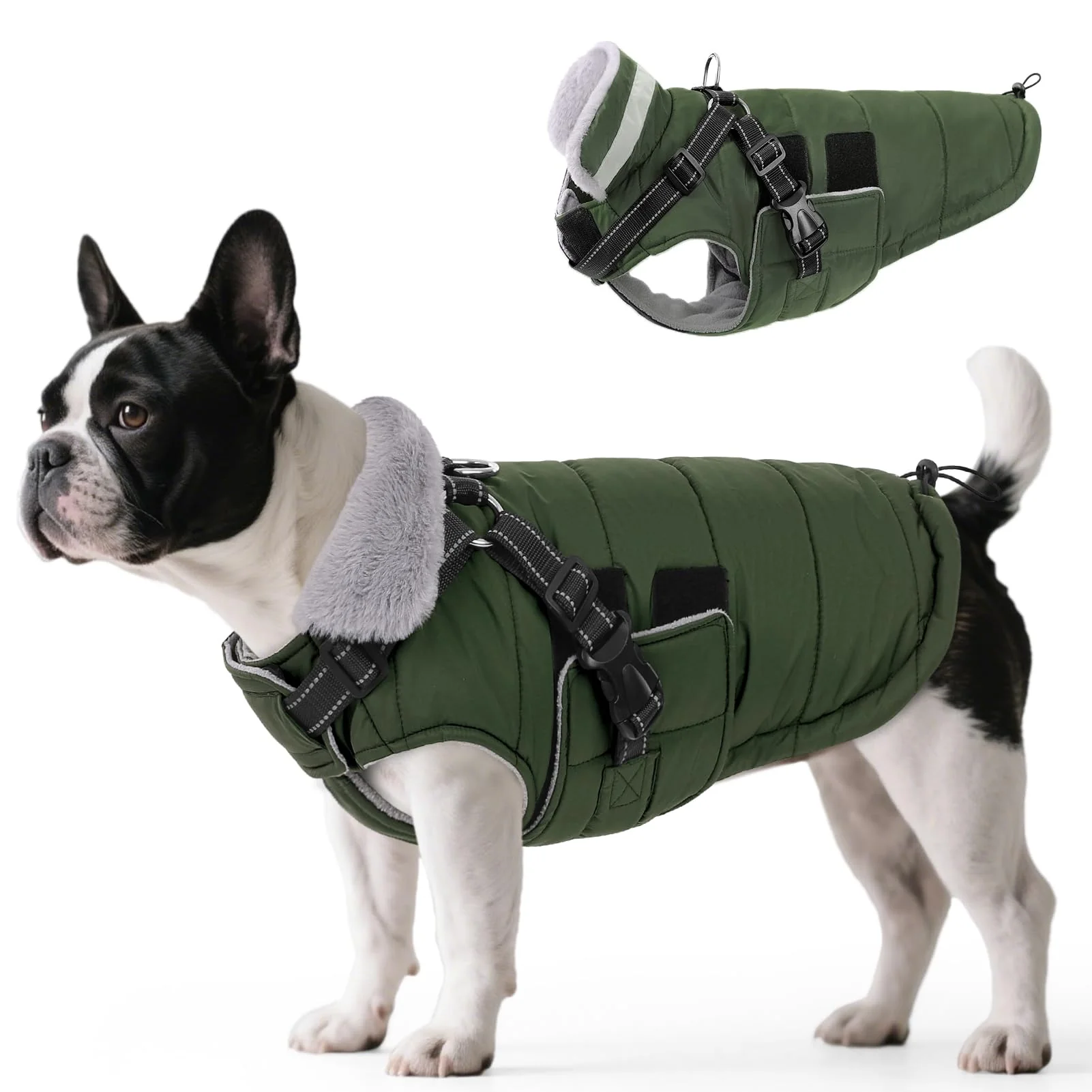 Contemporary Queenmore Winter Dog Jacket with Harness Built-In for Medium Dogs — Waterproof Puffer Green M Trusted