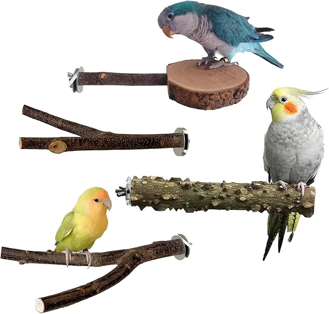 Professional 4 Pack Bird Perches for Cage Optimized
