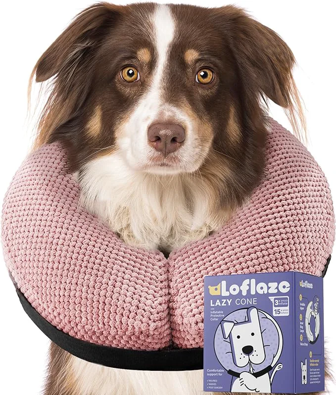Innovative Soft Inflatable Dog Cone Collar Contemporary